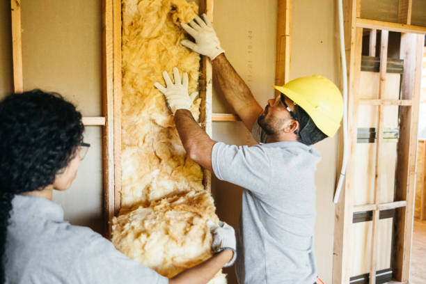 Best Cellulose Insulation  in Gamewell, NC