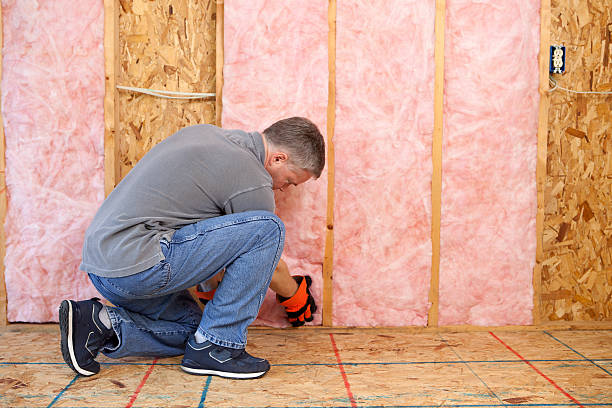 Best Home Insulation Services  in Gamewell, NC